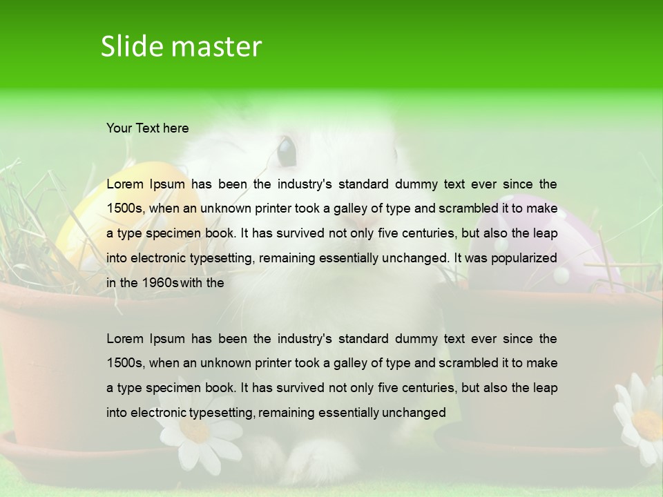 Egg Easter Bunny Lop PowerPoint Template