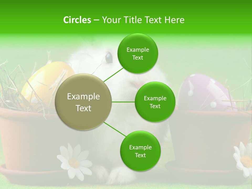 Egg Easter Bunny Lop PowerPoint Template