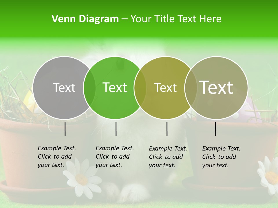 Egg Easter Bunny Lop PowerPoint Template