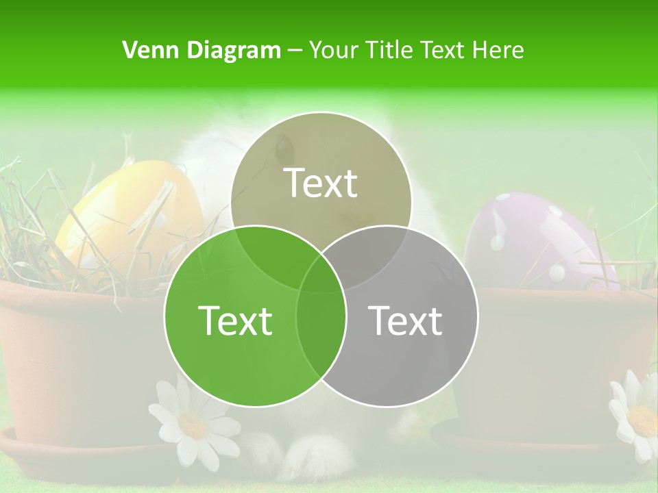 Egg Easter Bunny Lop PowerPoint Template