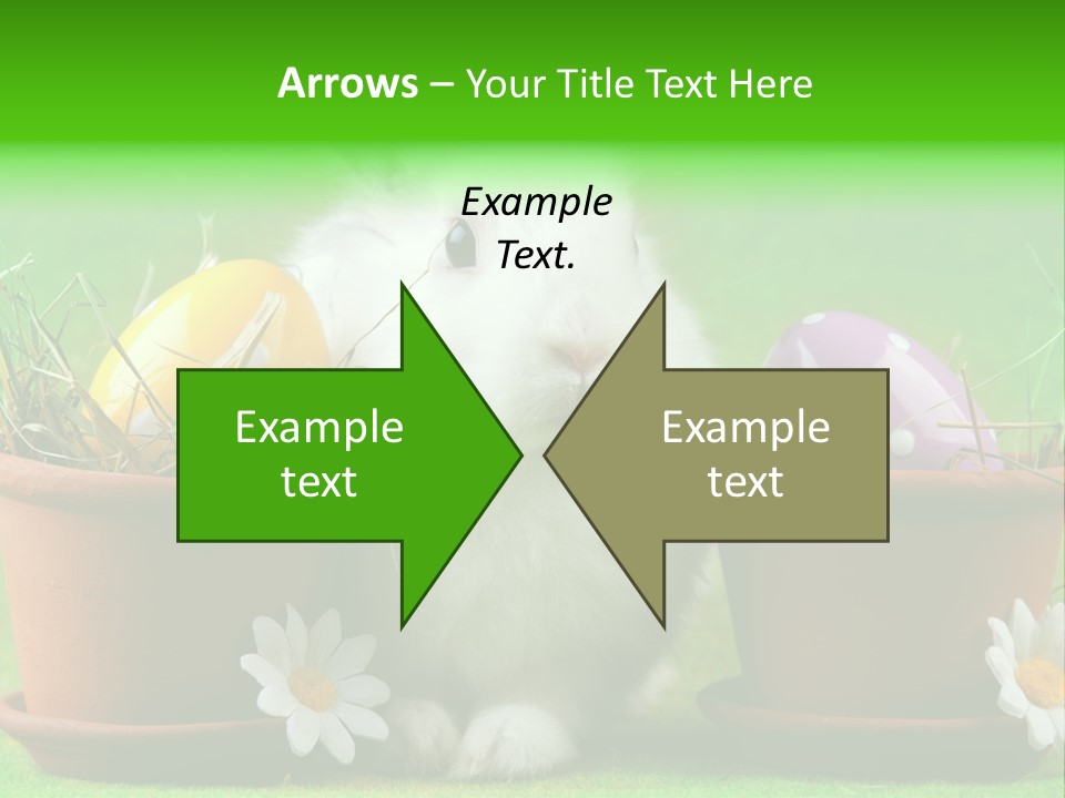 Egg Easter Bunny Lop PowerPoint Template