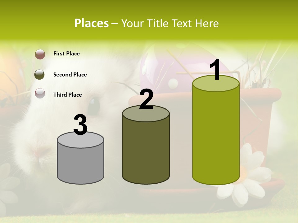 Fur Furry Daisy PowerPoint Template