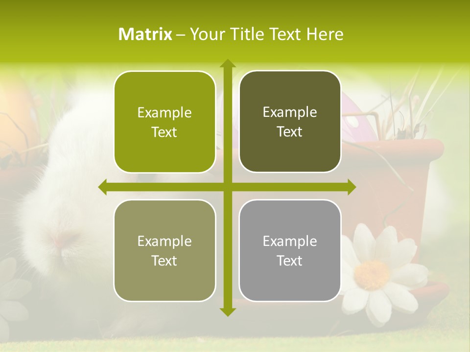 Fur Furry Daisy PowerPoint Template