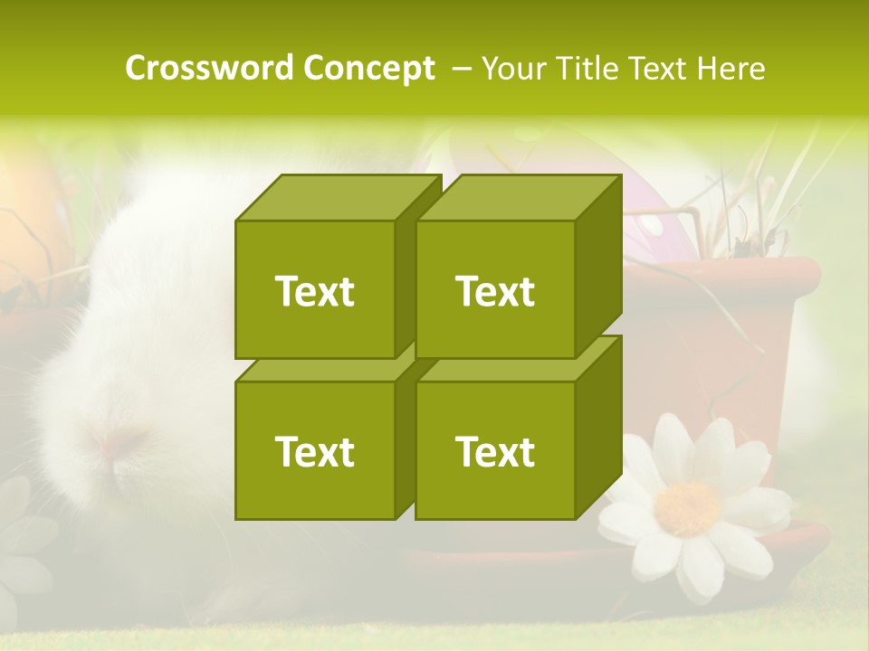 Fur Furry Daisy PowerPoint Template