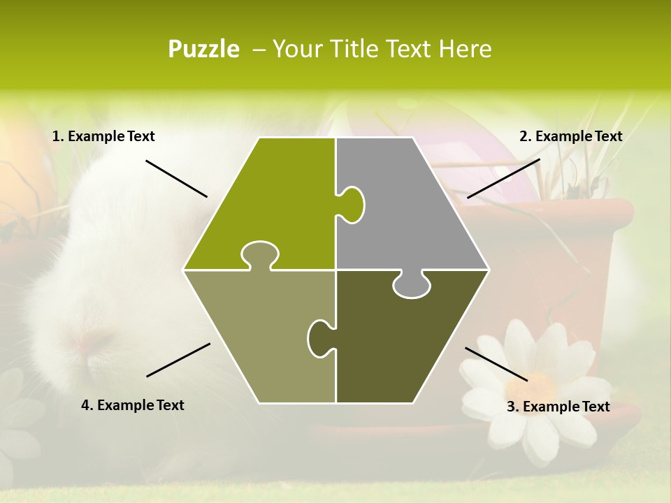 Fur Furry Daisy PowerPoint Template