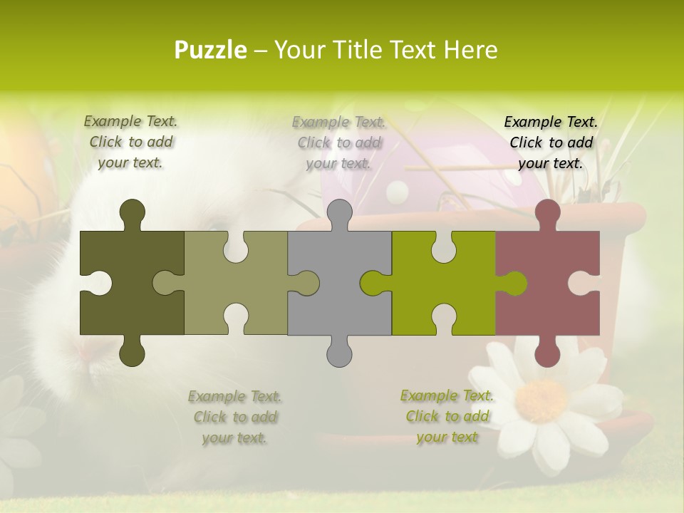 Fur Furry Daisy PowerPoint Template