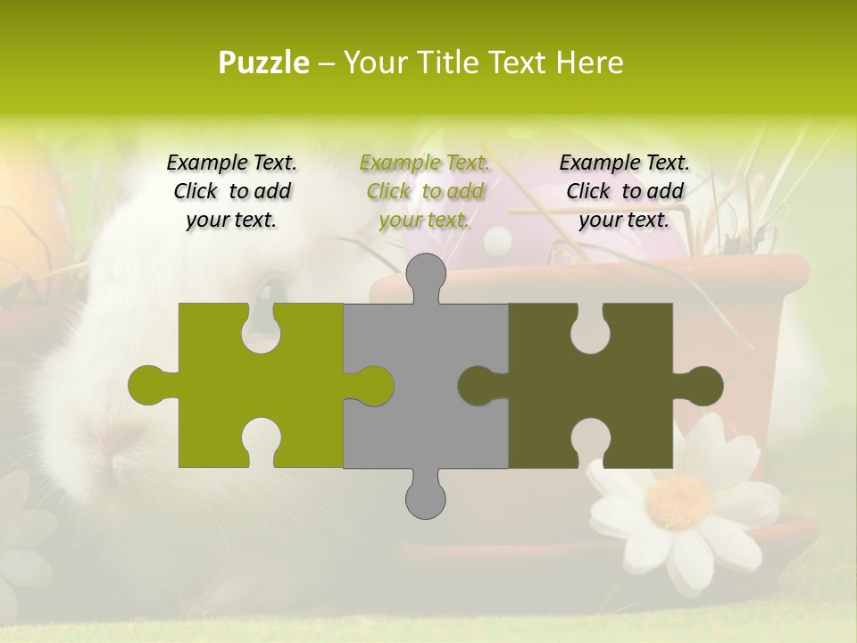 Fur Furry Daisy PowerPoint Template