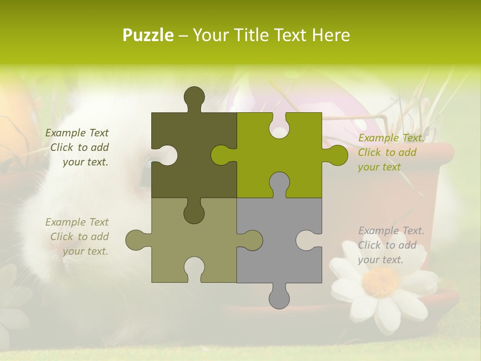 Fur Furry Daisy PowerPoint Template