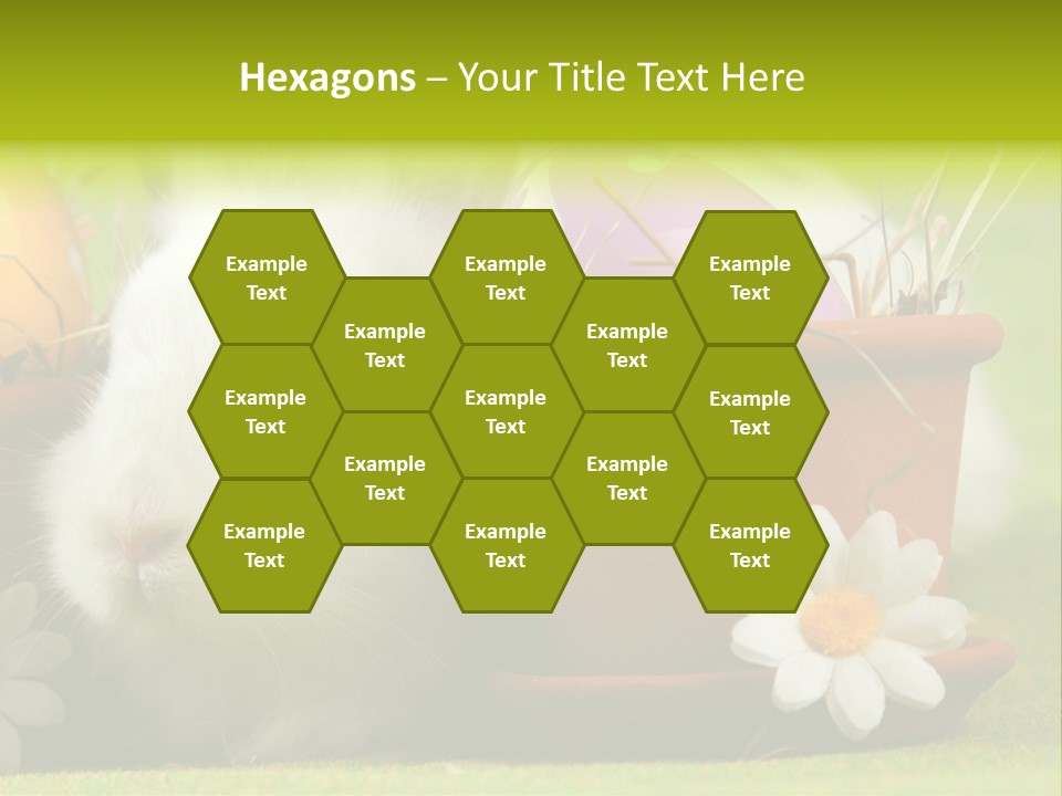 Fur Furry Daisy PowerPoint Template