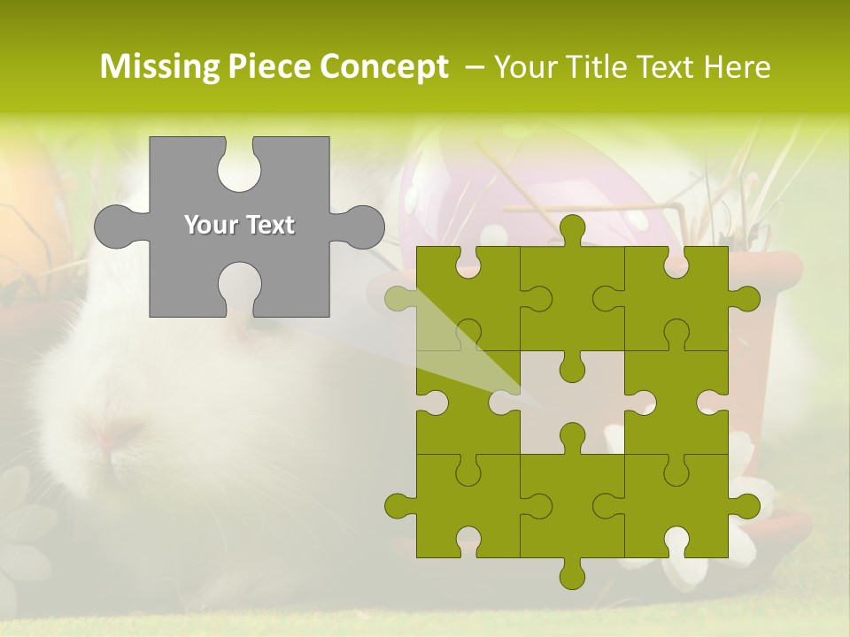 Fur Furry Daisy PowerPoint Template