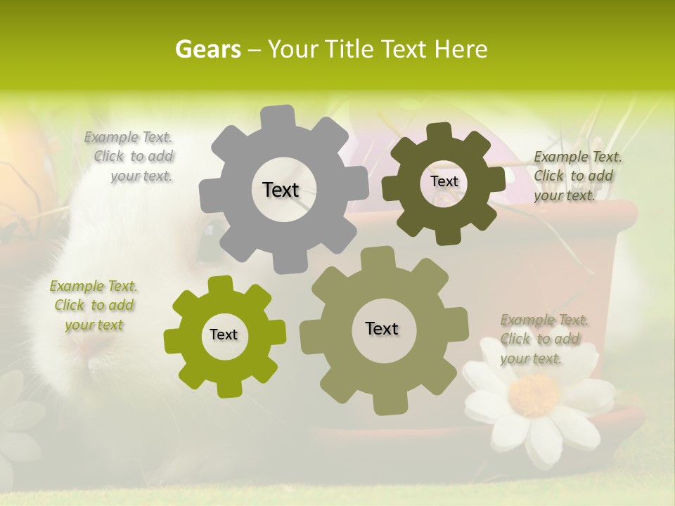 Fur Furry Daisy PowerPoint Template