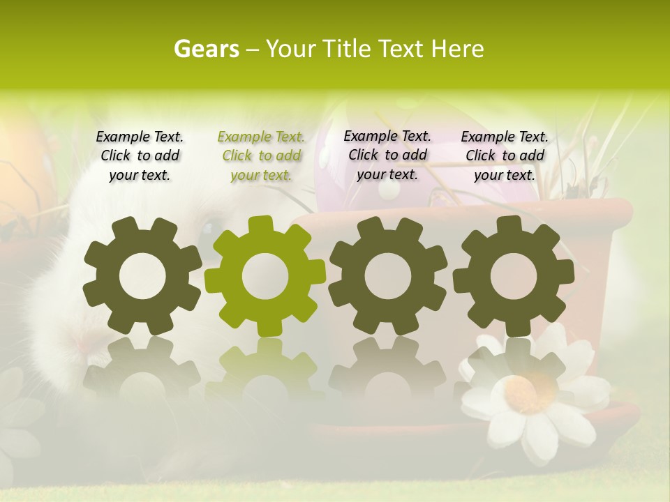 Fur Furry Daisy PowerPoint Template