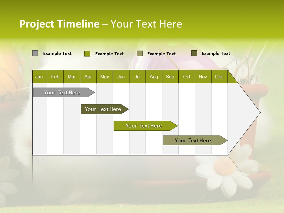 Fur Furry Daisy PowerPoint Template