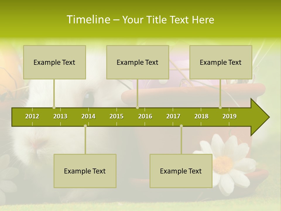 Fur Furry Daisy PowerPoint Template