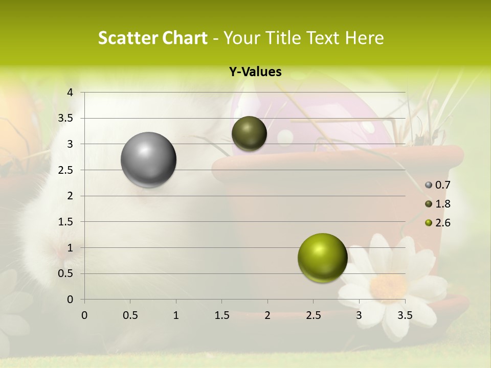 Fur Furry Daisy PowerPoint Template