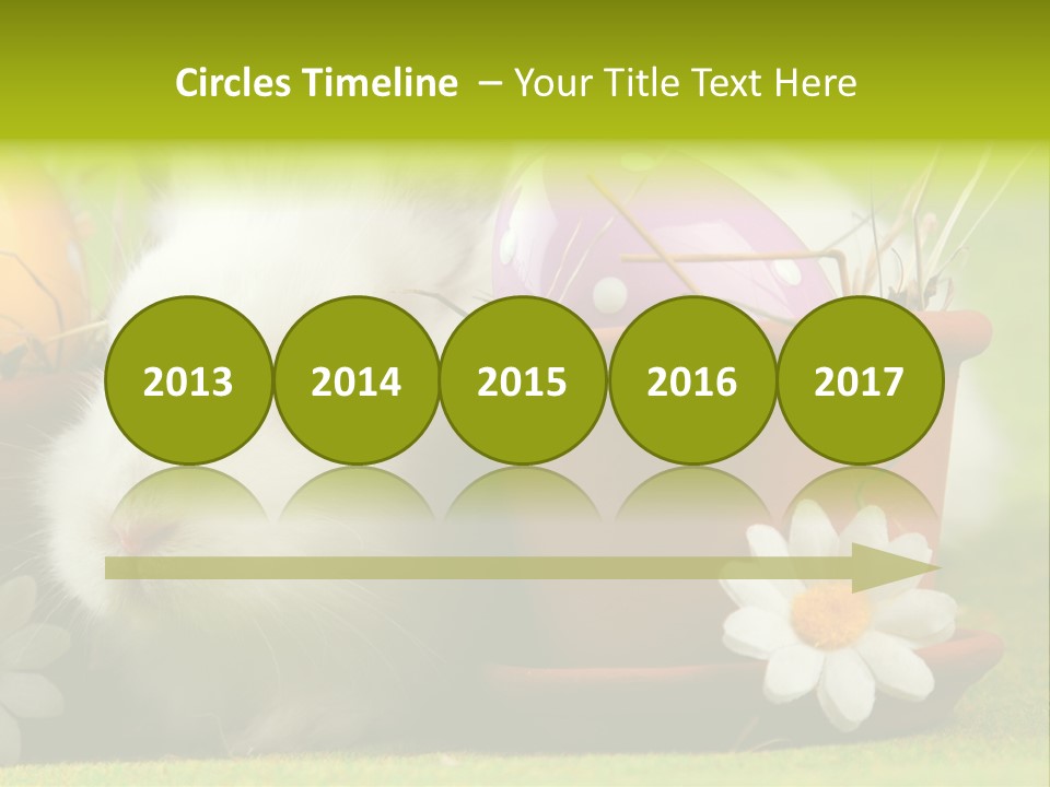 Fur Furry Daisy PowerPoint Template