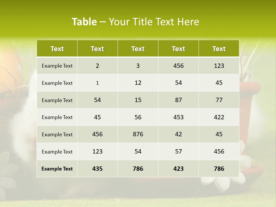 Fur Furry Daisy PowerPoint Template