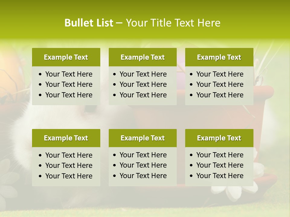 Fur Furry Daisy PowerPoint Template