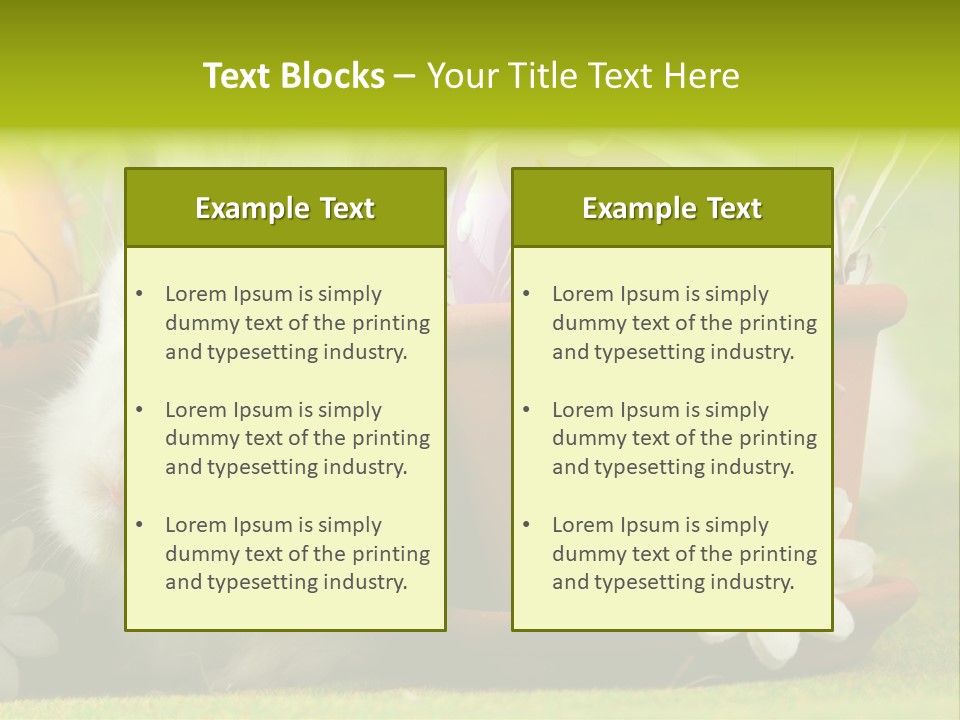 Fur Furry Daisy PowerPoint Template