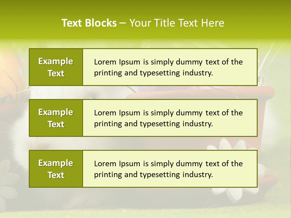Fur Furry Daisy PowerPoint Template