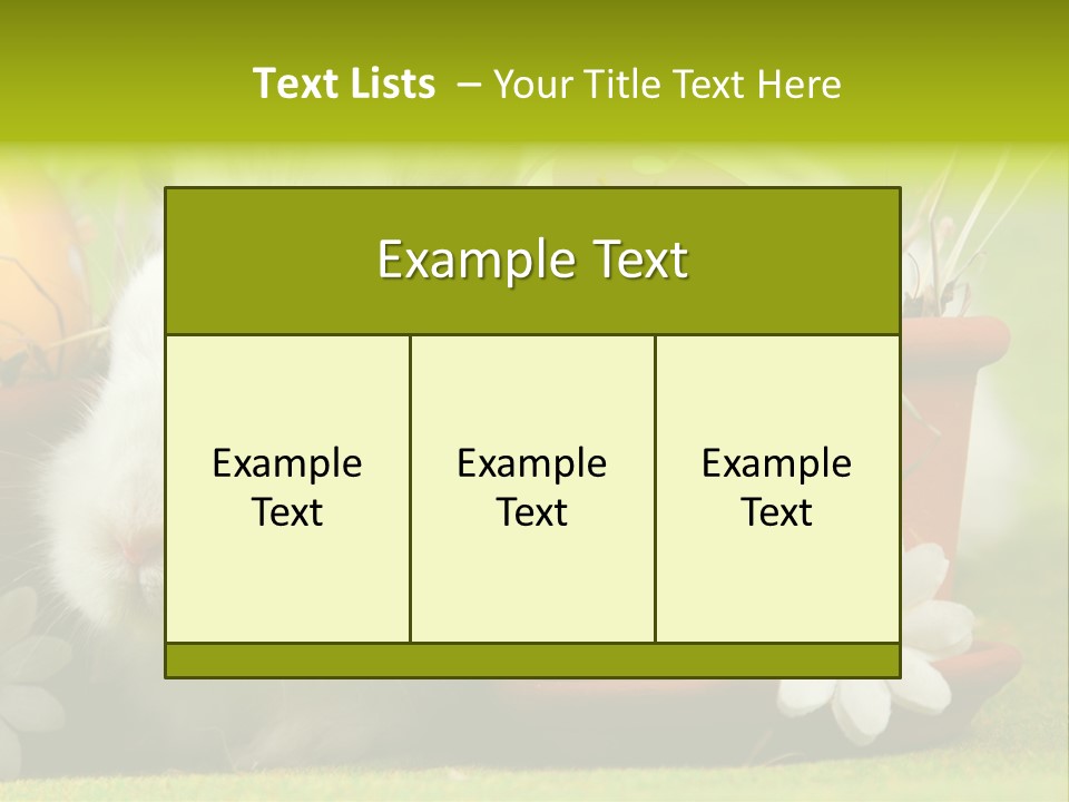 Fur Furry Daisy PowerPoint Template