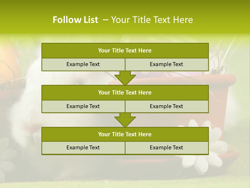 Fur Furry Daisy PowerPoint Template