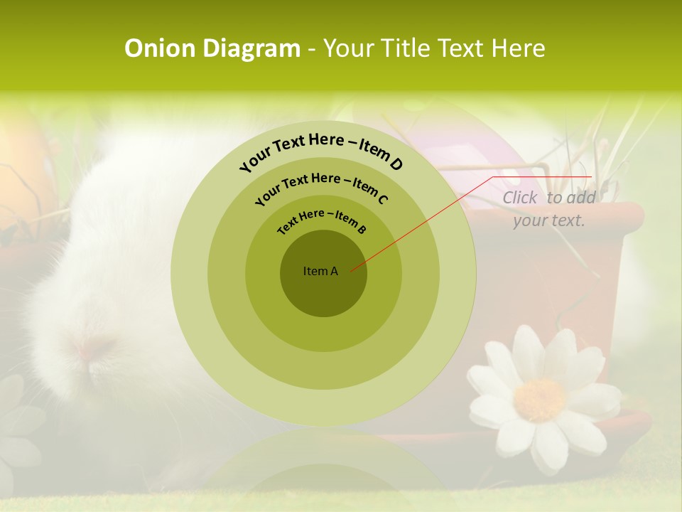 Fur Furry Daisy PowerPoint Template