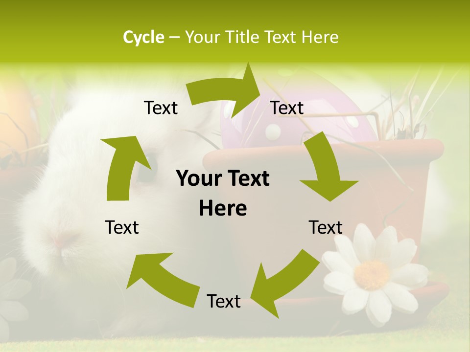 Fur Furry Daisy PowerPoint Template