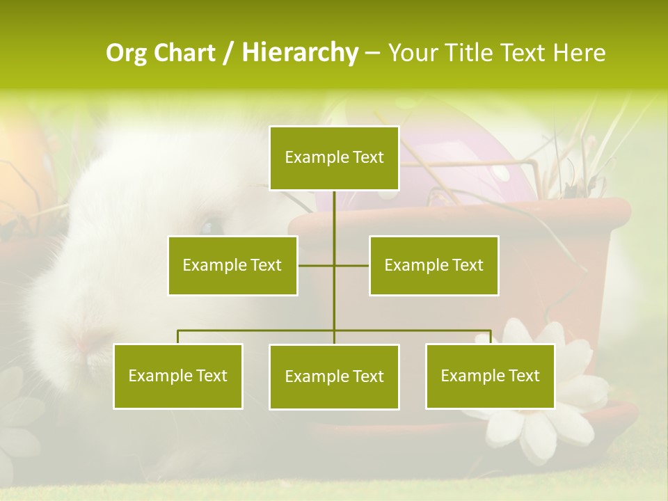 Fur Furry Daisy PowerPoint Template