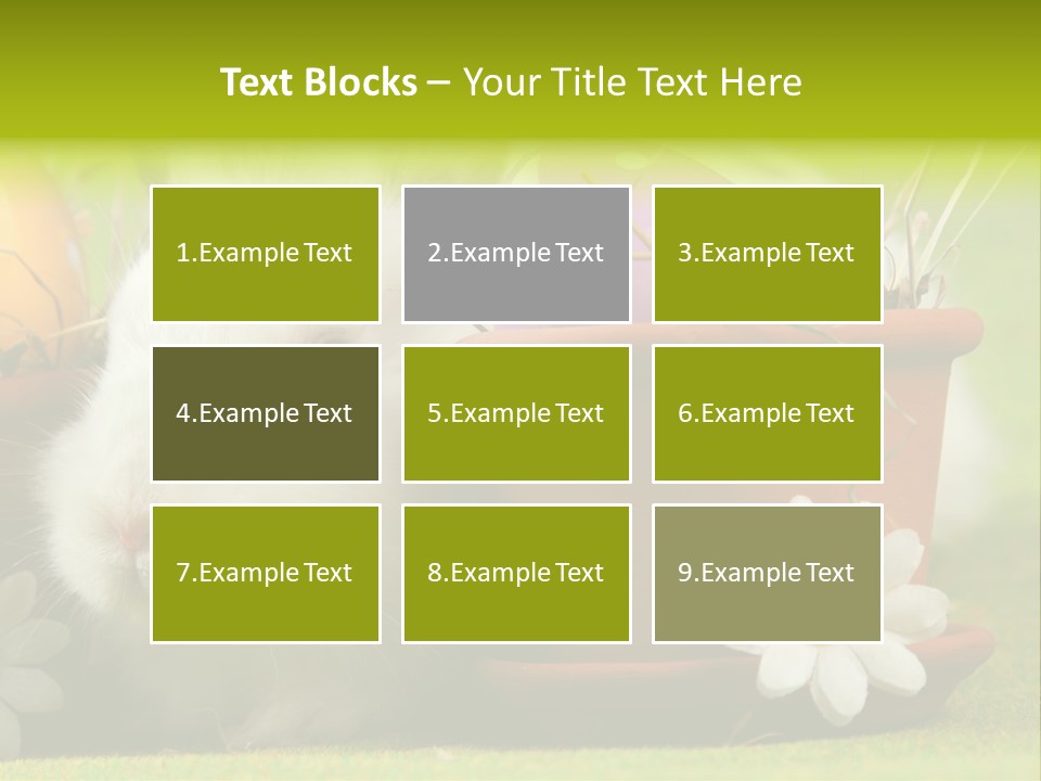 Fur Furry Daisy PowerPoint Template