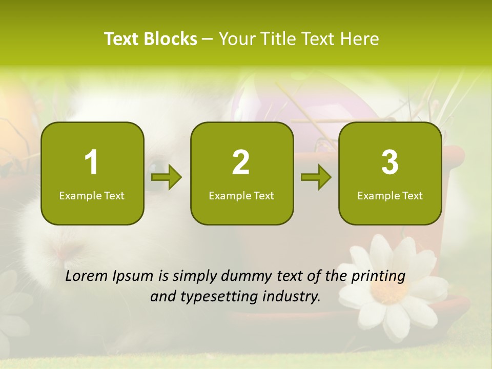 Fur Furry Daisy PowerPoint Template