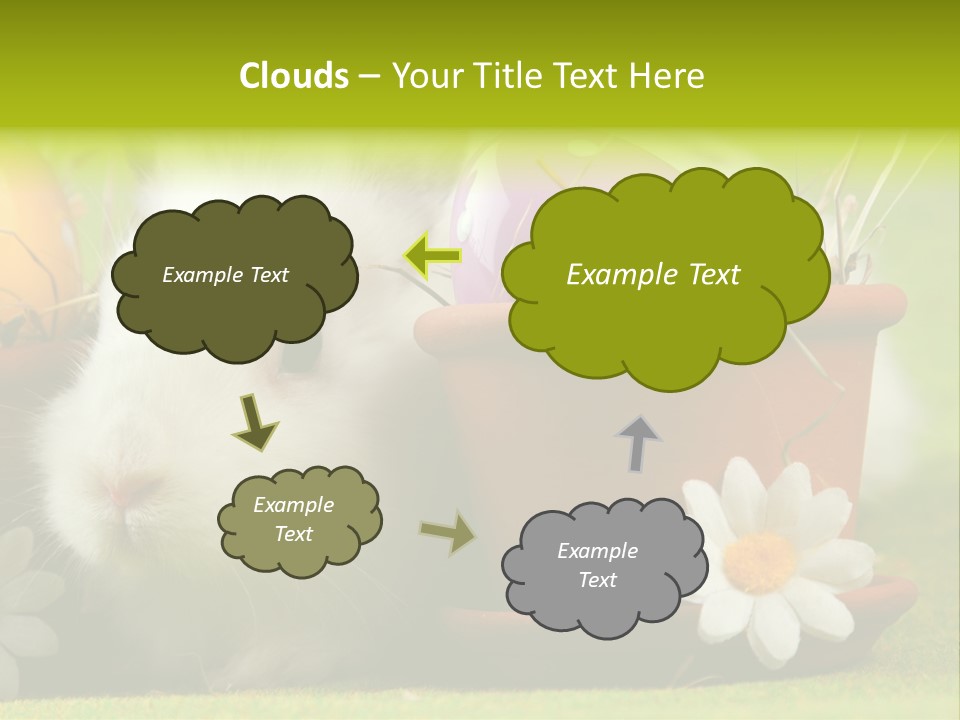 Fur Furry Daisy PowerPoint Template