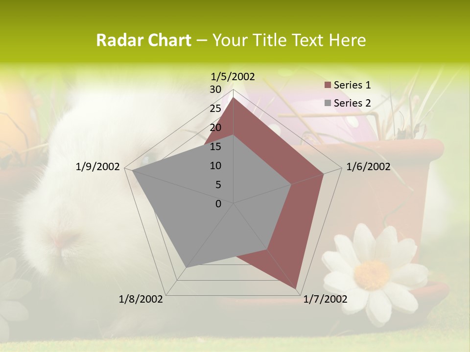 Fur Furry Daisy PowerPoint Template