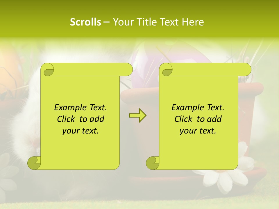 Fur Furry Daisy PowerPoint Template