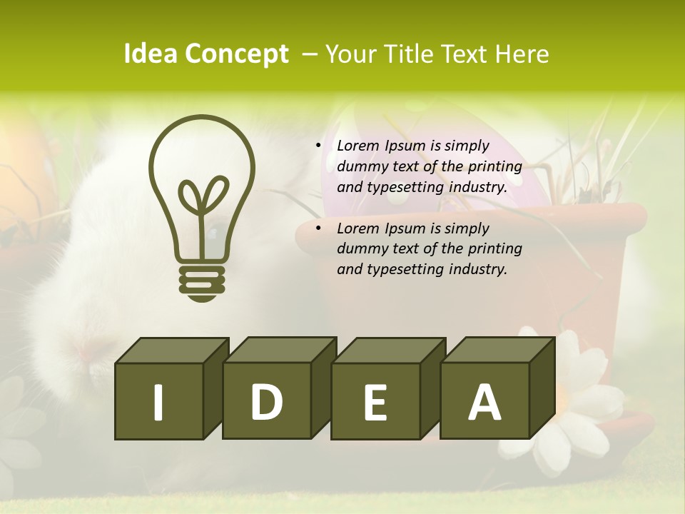 Fur Furry Daisy PowerPoint Template