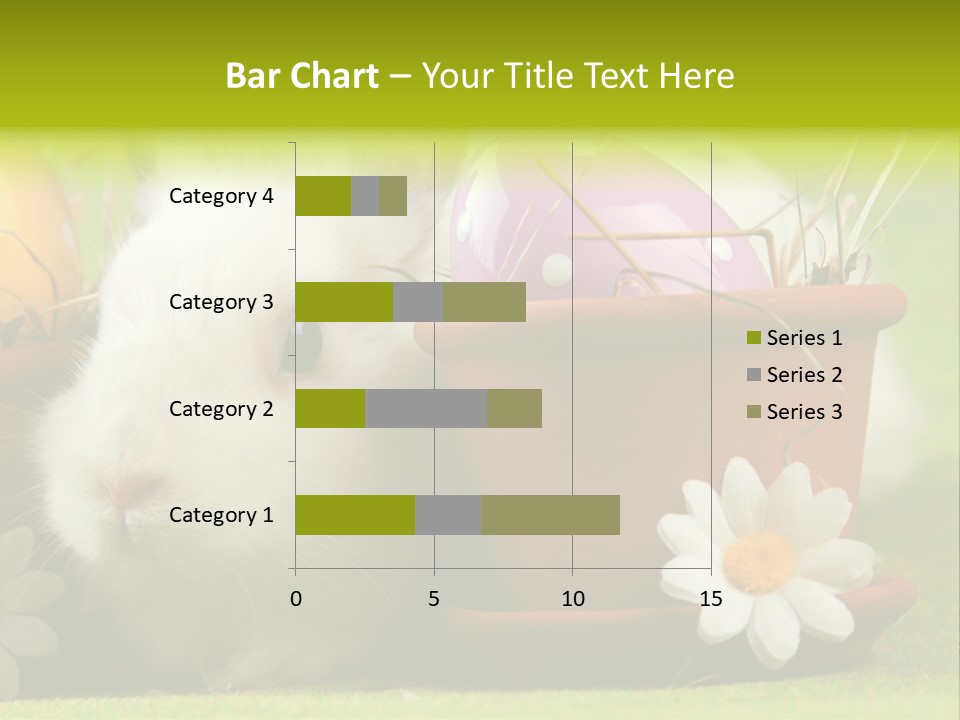 Fur Furry Daisy PowerPoint Template