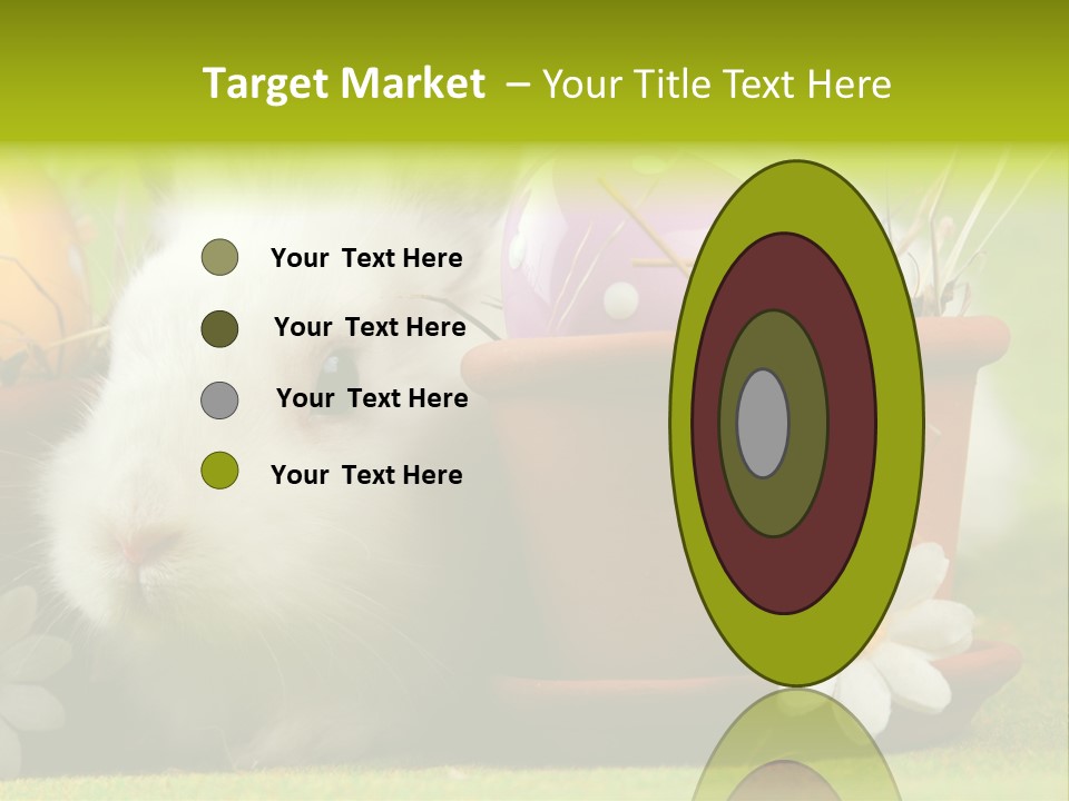 Fur Furry Daisy PowerPoint Template