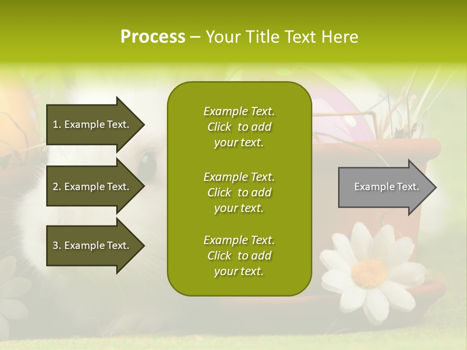 Fur Furry Daisy PowerPoint Template