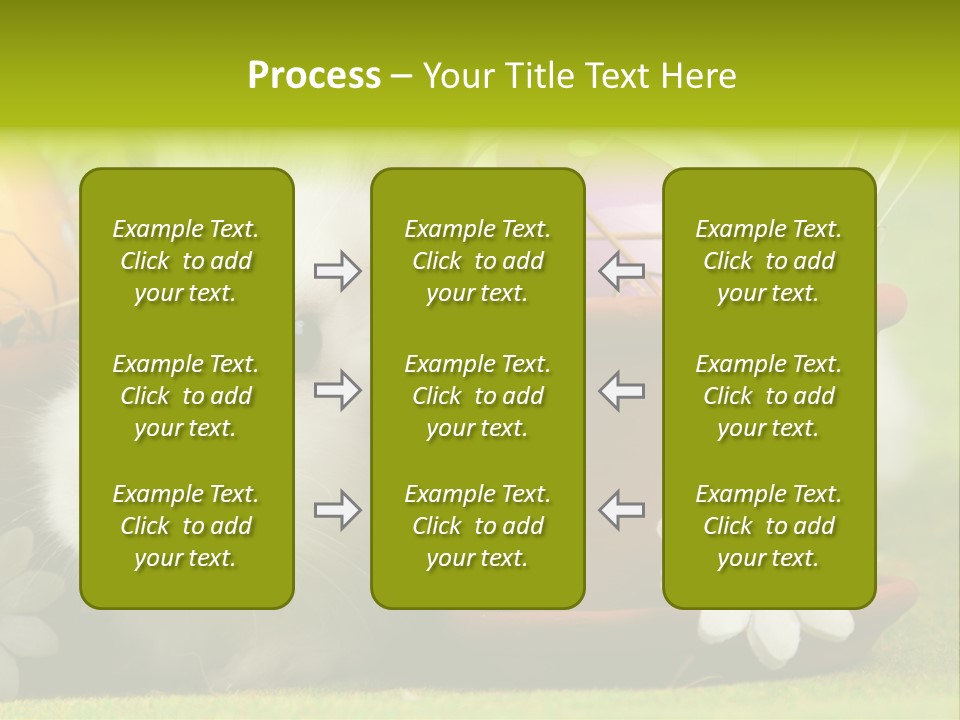 Fur Furry Daisy PowerPoint Template