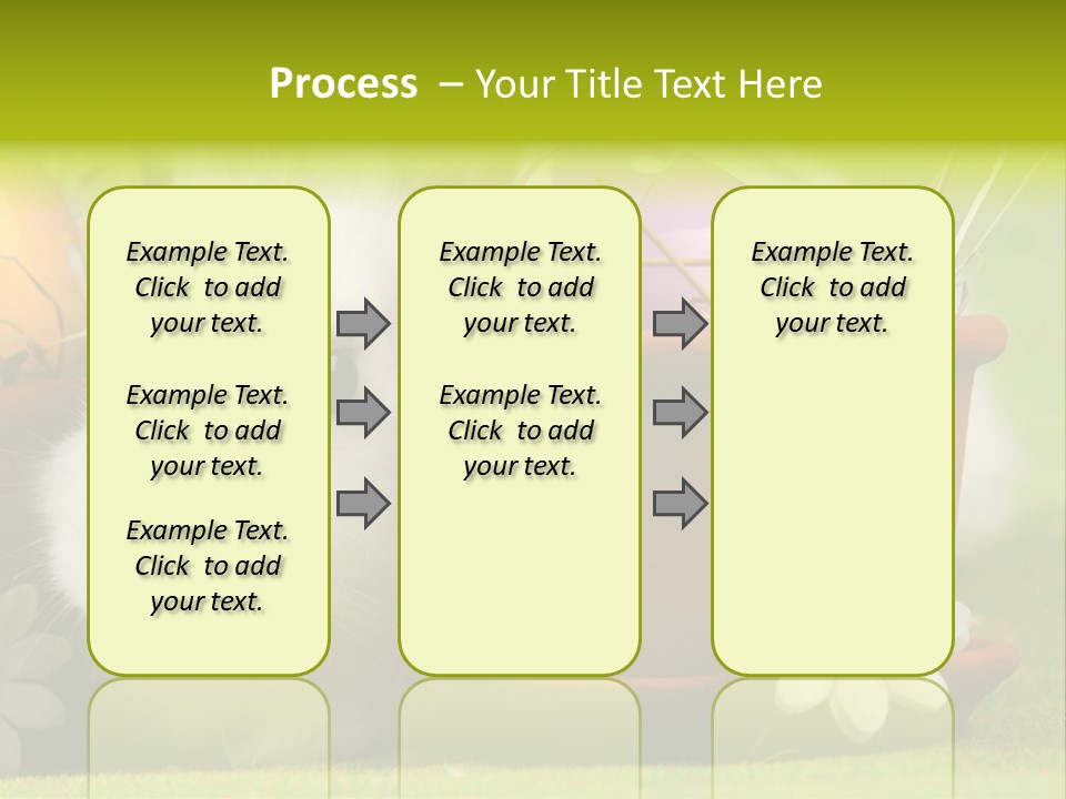 Fur Furry Daisy PowerPoint Template