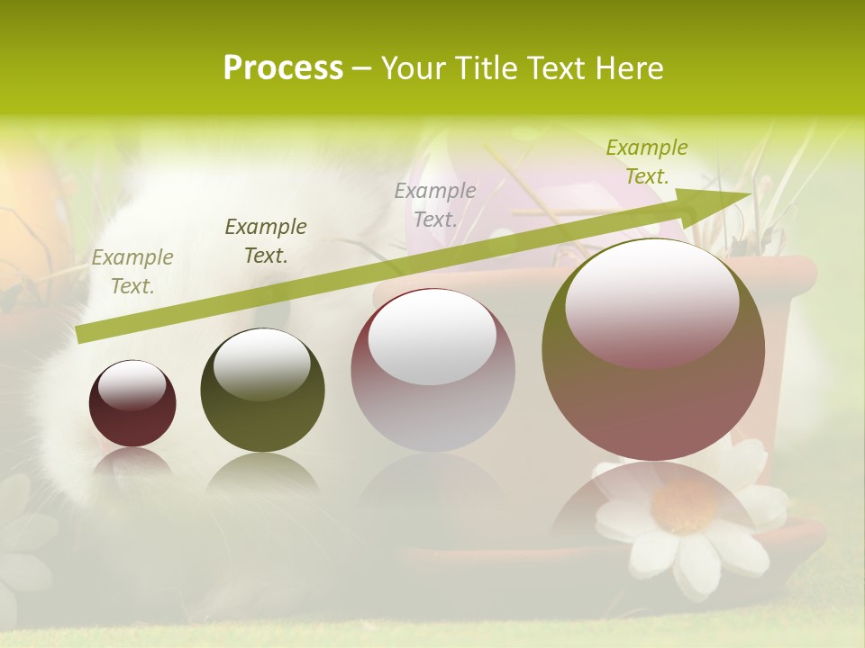 Fur Furry Daisy PowerPoint Template