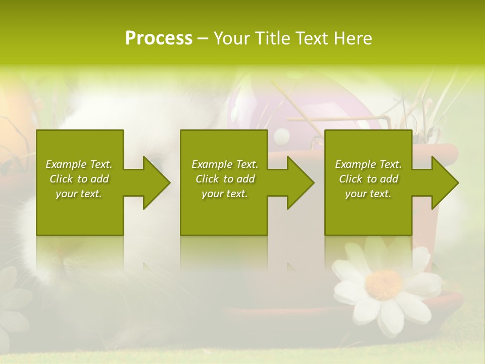 Fur Furry Daisy PowerPoint Template