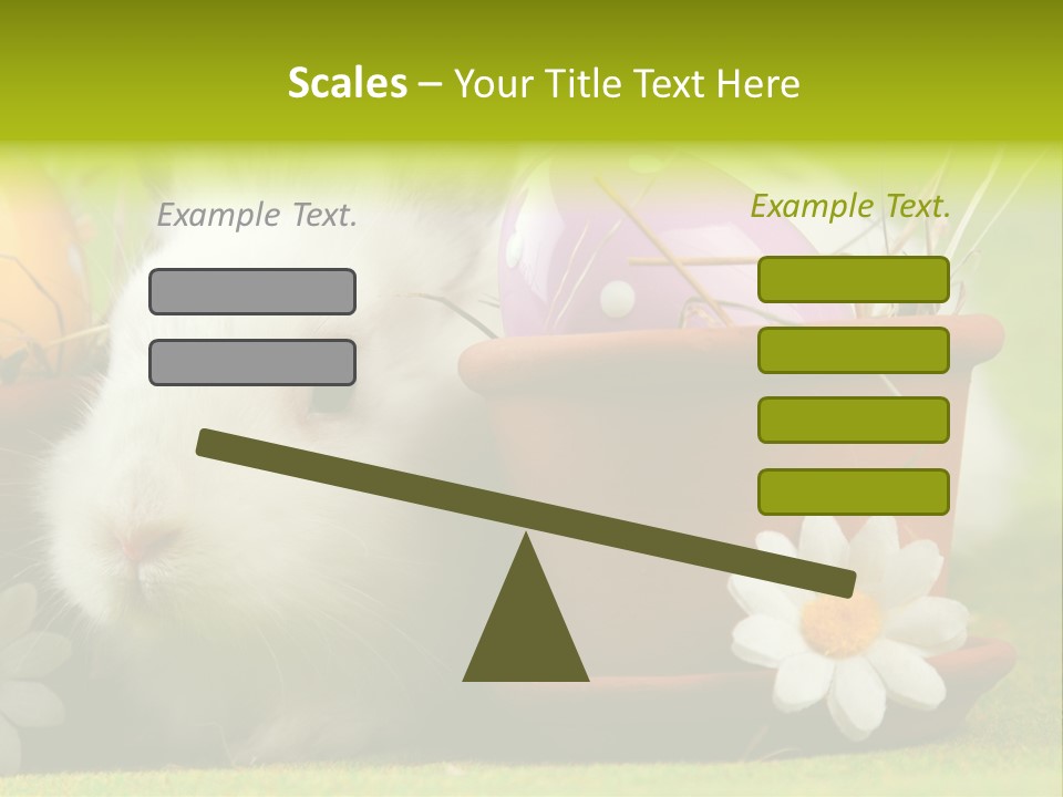 Fur Furry Daisy PowerPoint Template