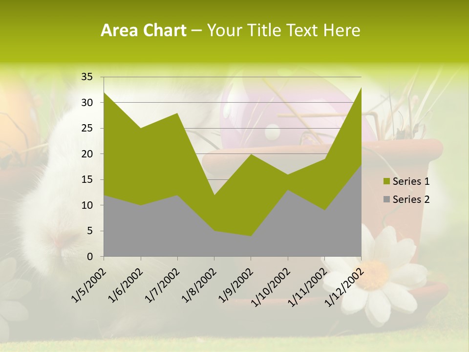 Fur Furry Daisy PowerPoint Template