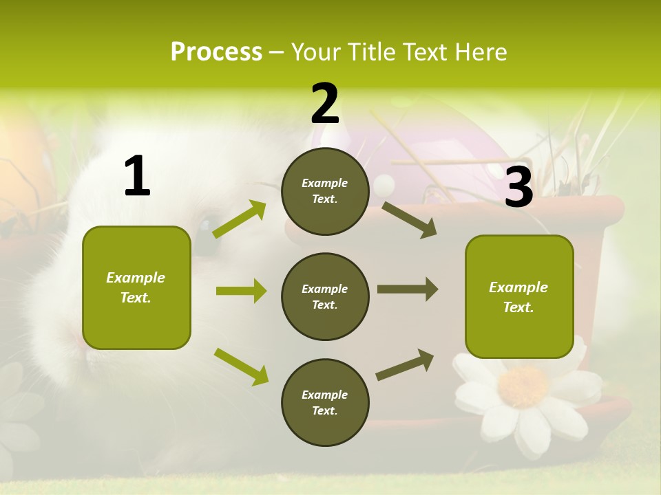 Fur Furry Daisy PowerPoint Template