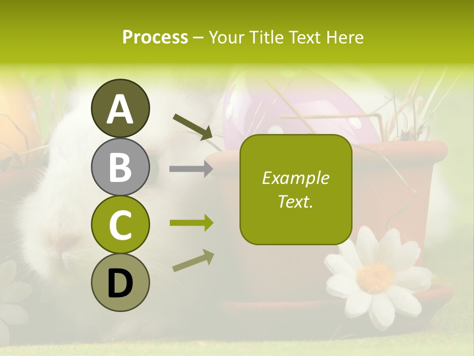 Fur Furry Daisy PowerPoint Template