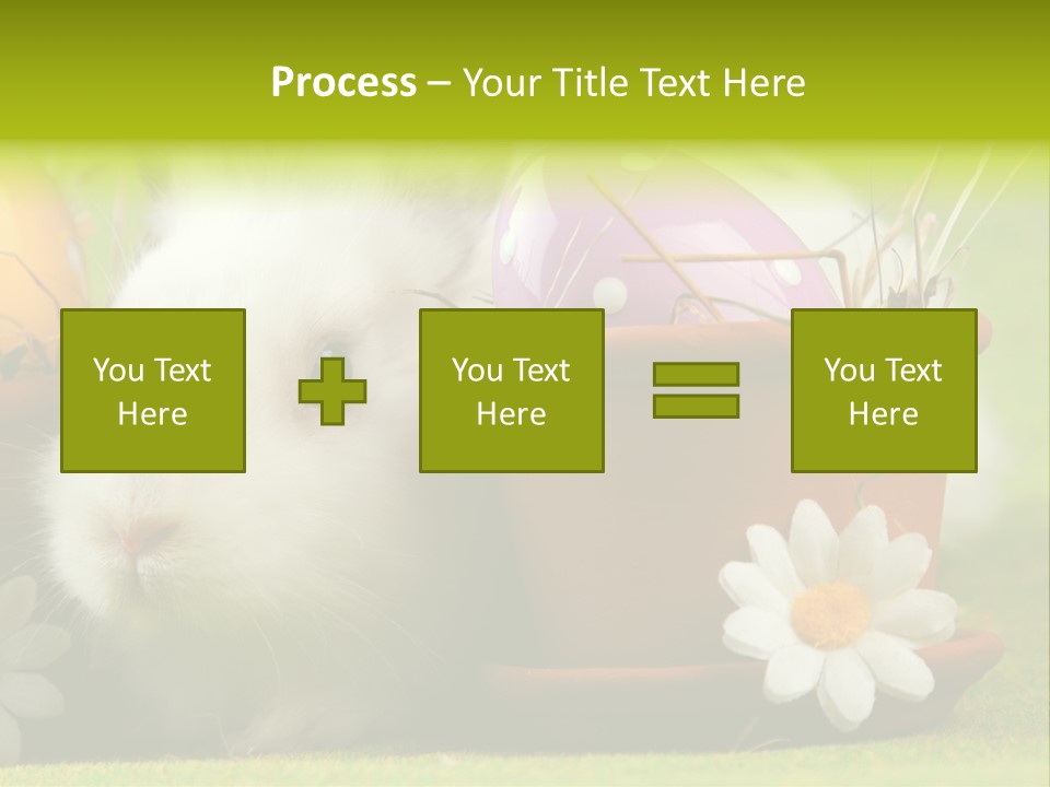 Fur Furry Daisy PowerPoint Template
