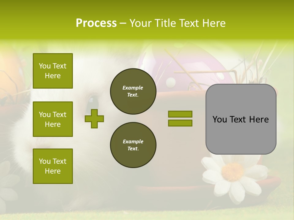 Fur Furry Daisy PowerPoint Template