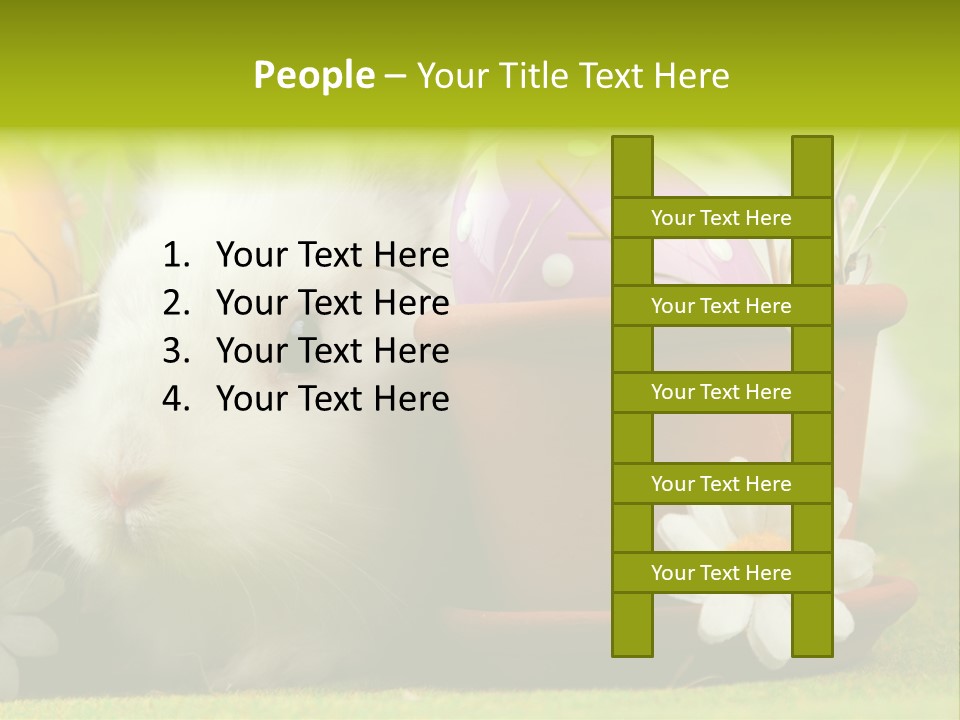 Fur Furry Daisy PowerPoint Template