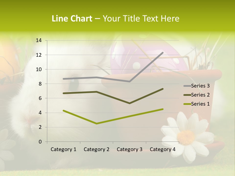 Fur Furry Daisy PowerPoint Template